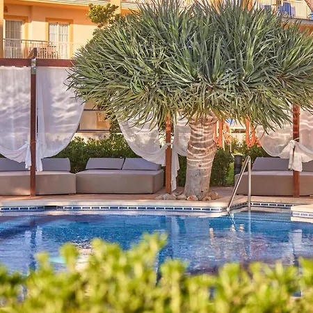Zafiro Mallorca & Aparthotel 4*